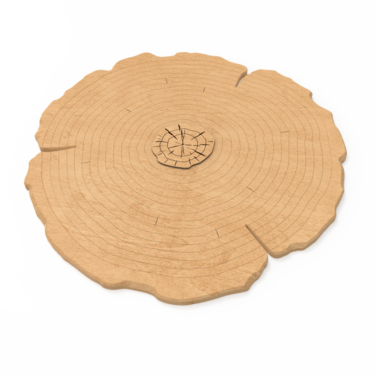 Memory Ring Base